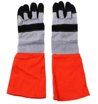 ɭ�ַ������שz����{