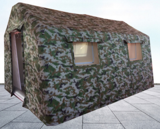 ����ʽ����