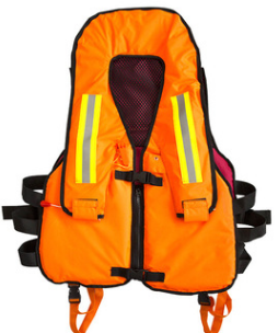 ����ʽ������